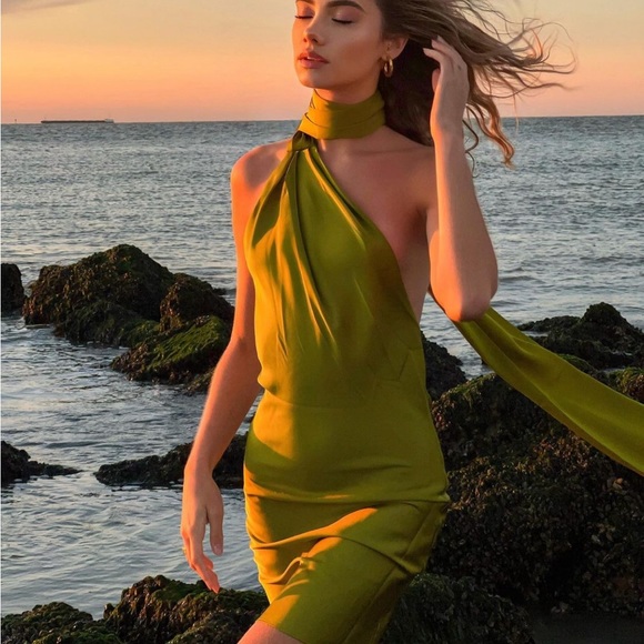 Rat & Boa Green Serafia Scarf Neck Tie Backless Mini Dress - Picture 2 of 3